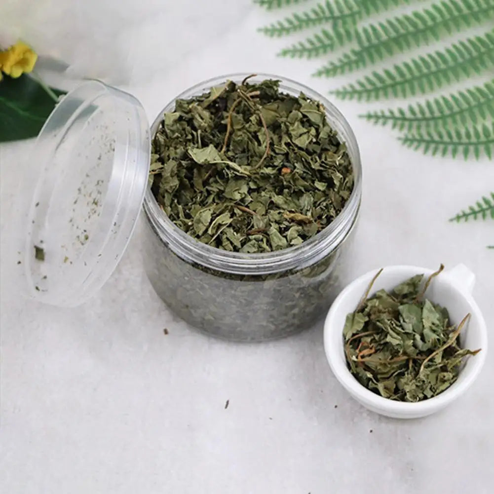 Natural High Quality Catgrass