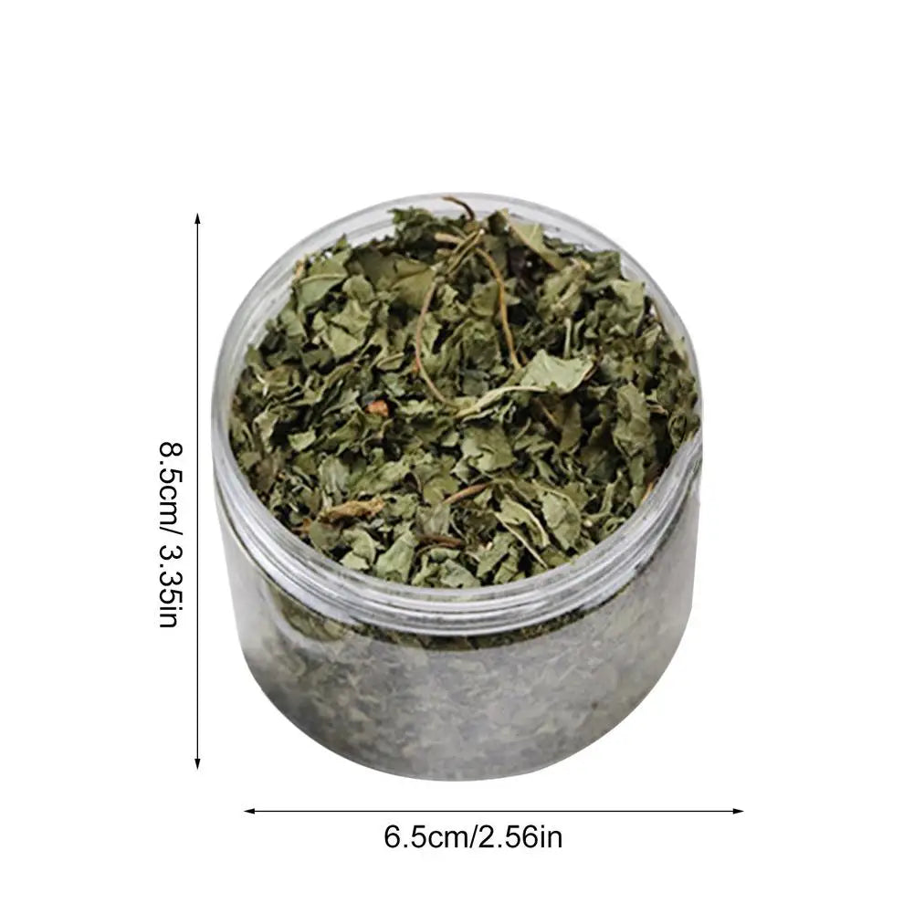Natural High Quality Catgrass