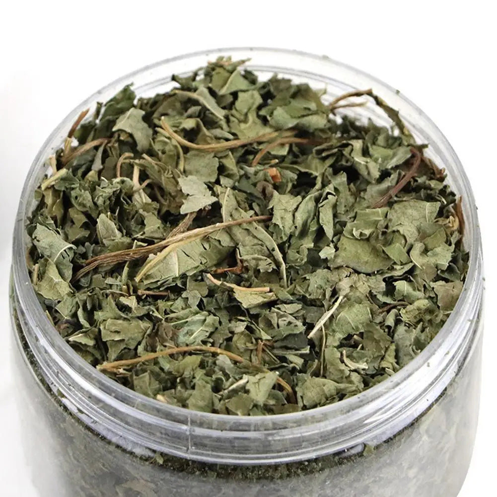 Natural High Quality Catgrass
