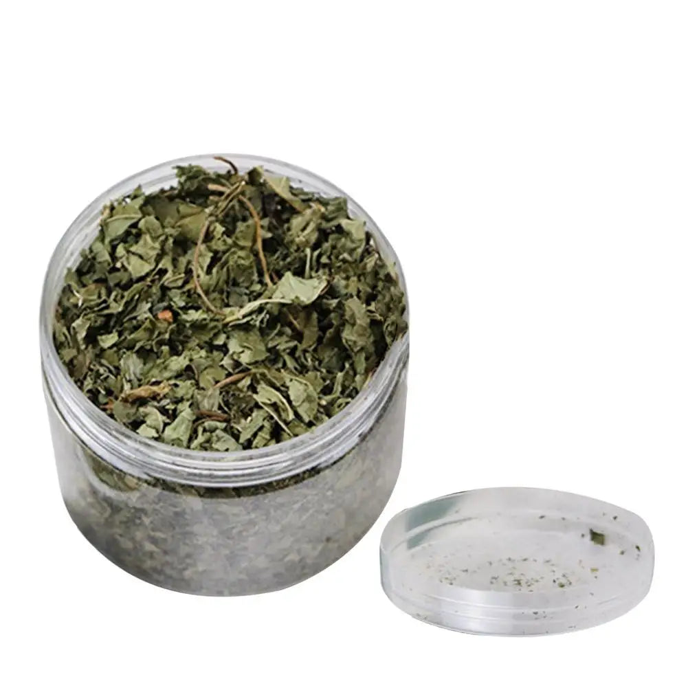 Natural High Quality Catgrass