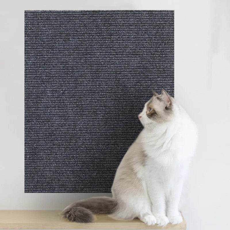 Cat Scratch Protector 🐾