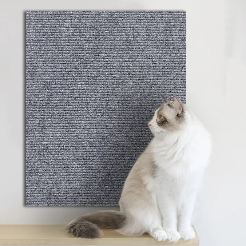 Cat Scratch Protector 🐾