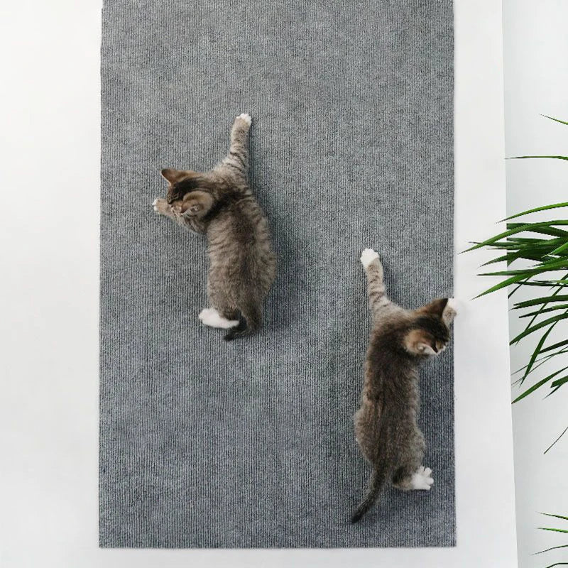 Cat Scratch Protector 🐾