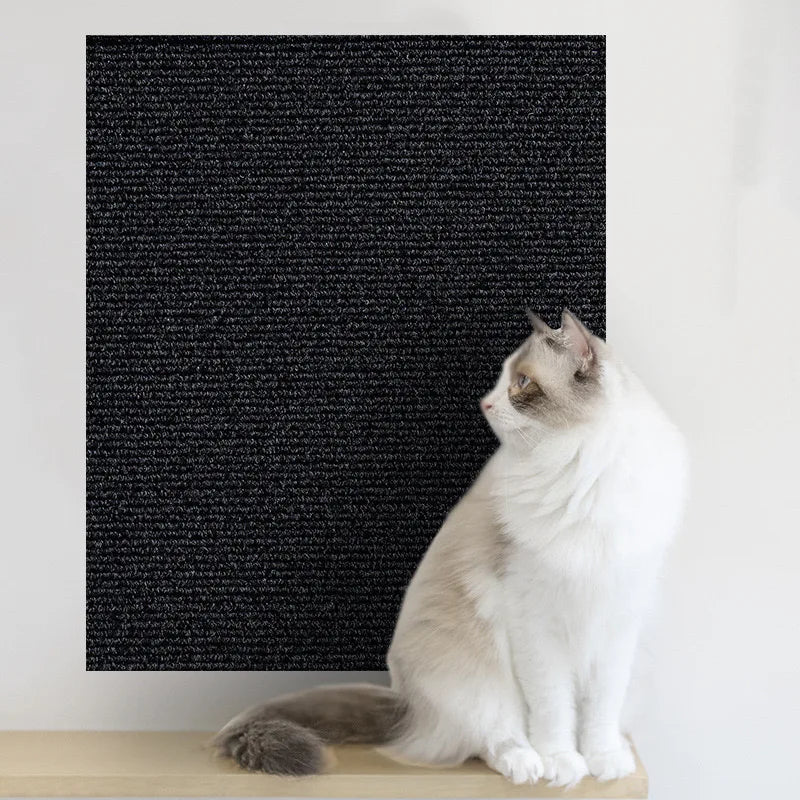 Cat Scratch Protector 🐾