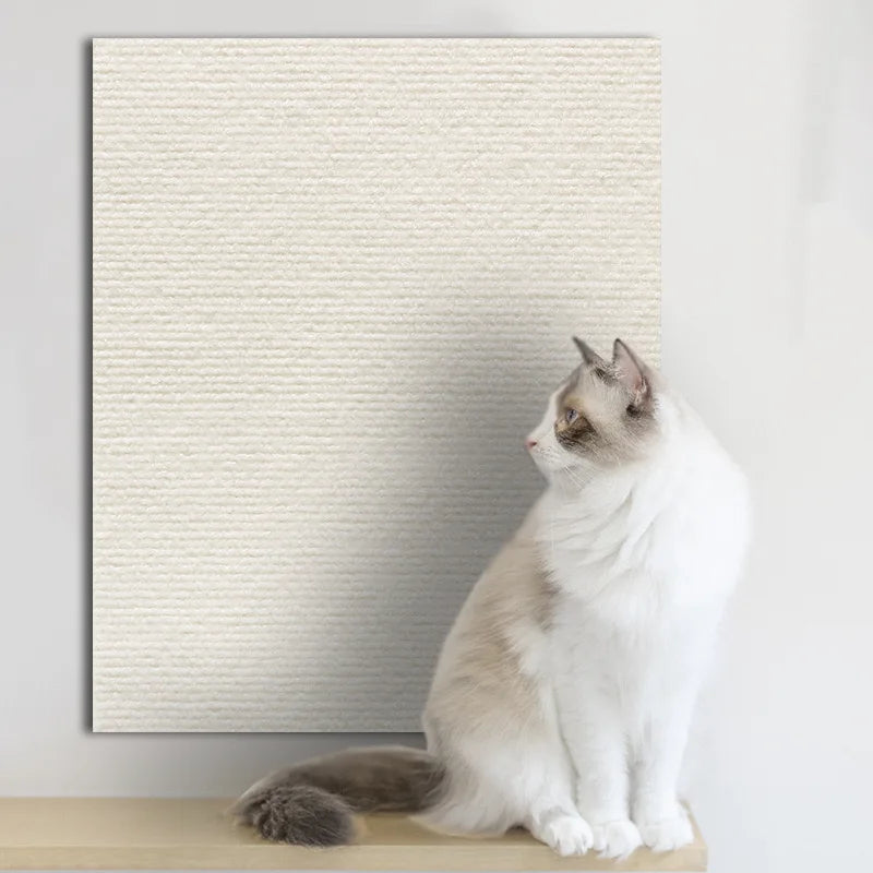 Cat Scratch Protector 🐾
